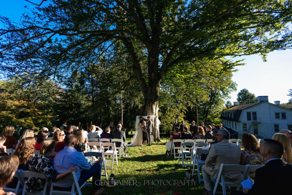 Outdoor small wedding ceremony under large oak tree
