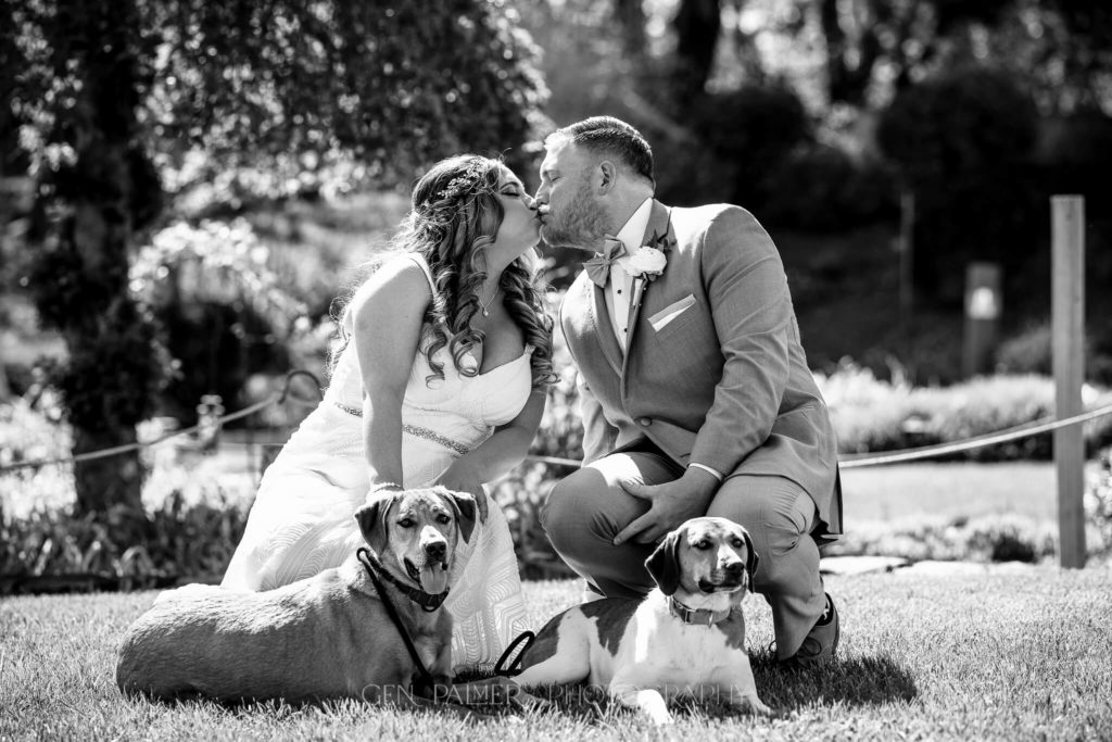 2023 Wedding Trend Dogs at Wedding